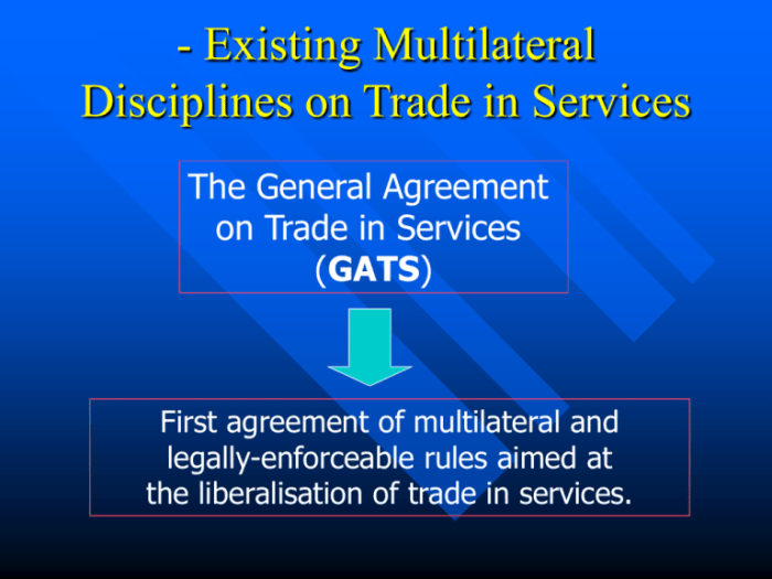 General agreement on trade in services