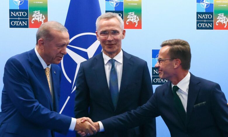 Analysis turkey and nato prove the anna karenina principle of alliances