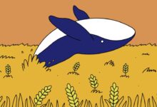 A market mystery the wheat whale that came out of nowhere