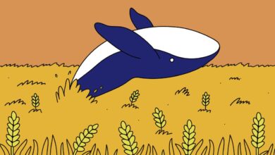 A market mystery the wheat whale that came out of nowhere