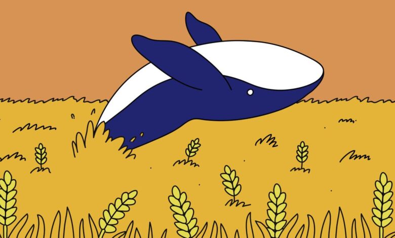 A market mystery the wheat whale that came out of nowhere