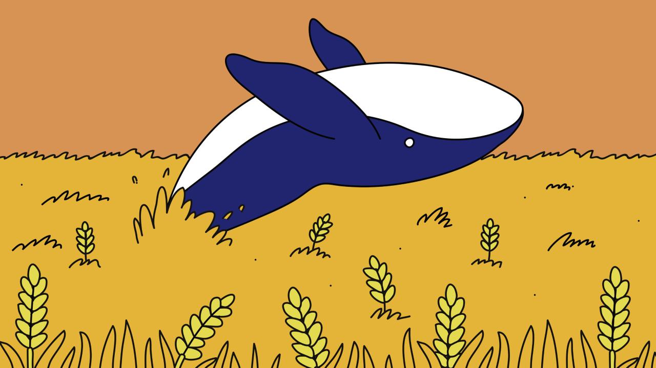 A market mystery the wheat whale that came out of nowhere