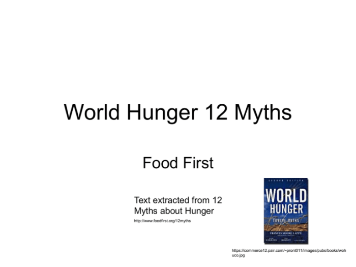 Myth more us aid will help the hungry