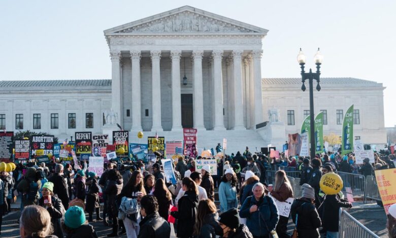 Idaho supreme court halts 6 week abortion ban based on texas law