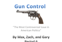 Analysis the flaw in the progressive stance on guns