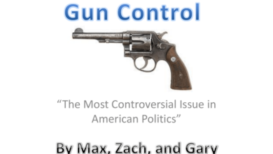 Analysis the flaw in the progressive stance on guns