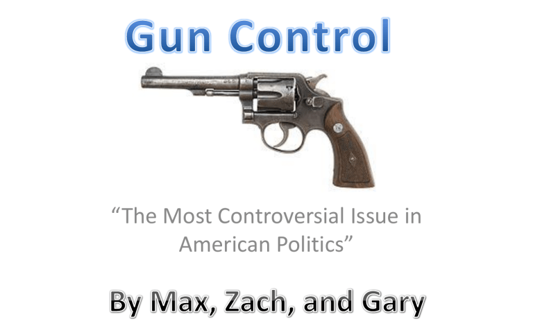 Analysis the flaw in the progressive stance on guns