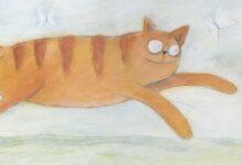 16 cat books for curious kids