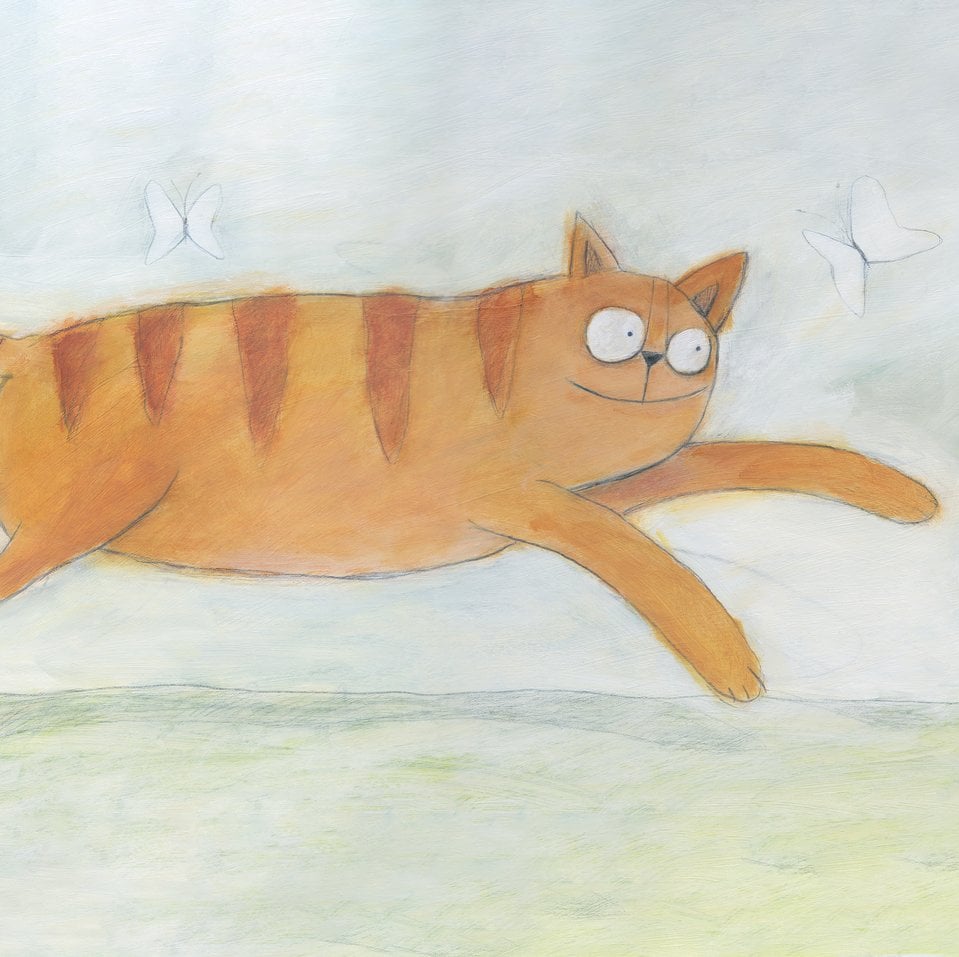 16 cat books for curious kids