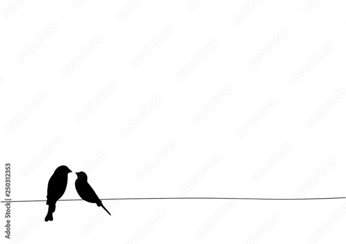 Bird on a wire and other winning photos