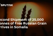 Egypt somalia alliance second weapons shipment lands amid ethiopia tensions