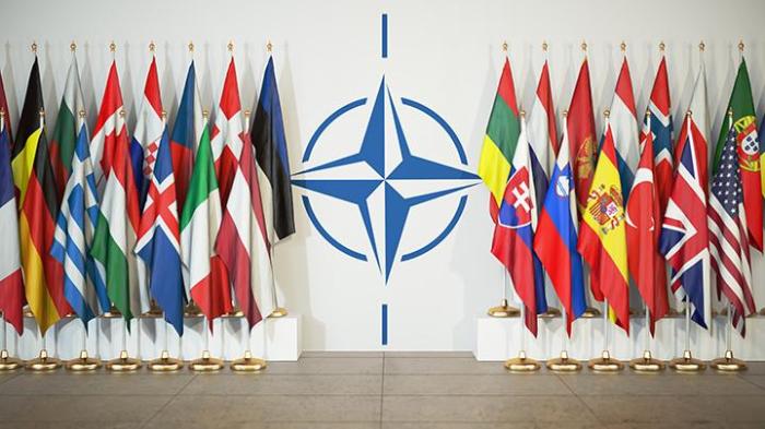 The need for nato