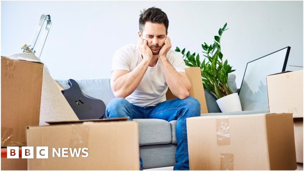 The sky high pandemic housing market finds gravity does exist