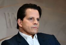 Anthony scaramucci says he is working alongside kamala harris on her campaigns crypto policies