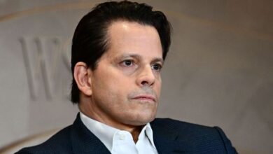 Anthony scaramucci says he is working alongside kamala harris on her campaigns crypto policies