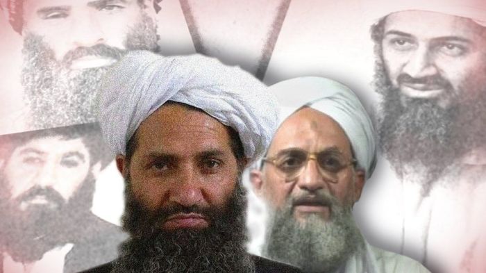 Could the taleban have helped the us against al qaida