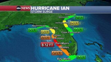 Millions of gulf coast residents warned of tropical storm threat be on guard