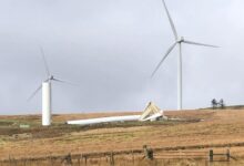 Energy company to pay up to 35 million after turbines killed eagles