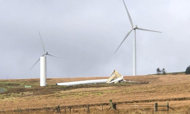 Energy company to pay up to 35 million after turbines killed eagles