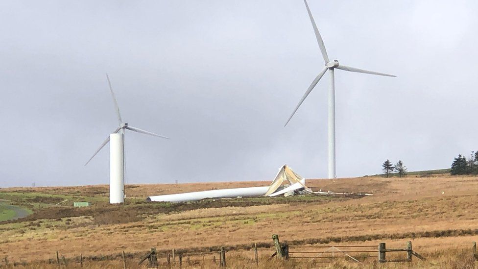 Energy company to pay up to 35 million after turbines killed eagles
