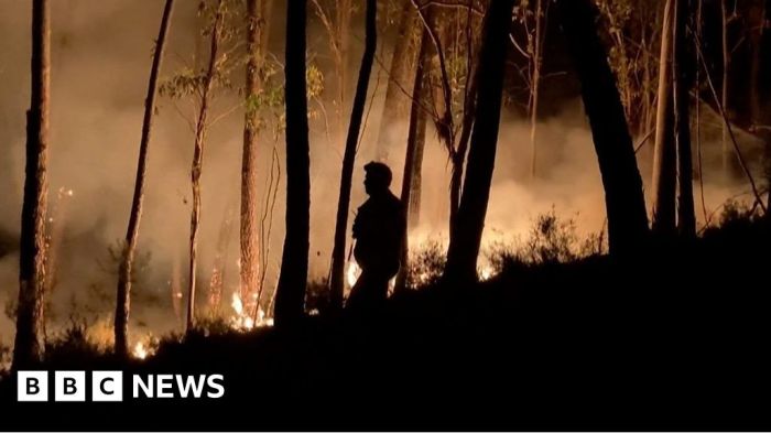 Portugals deadly wildfires have caused record breaking emissions