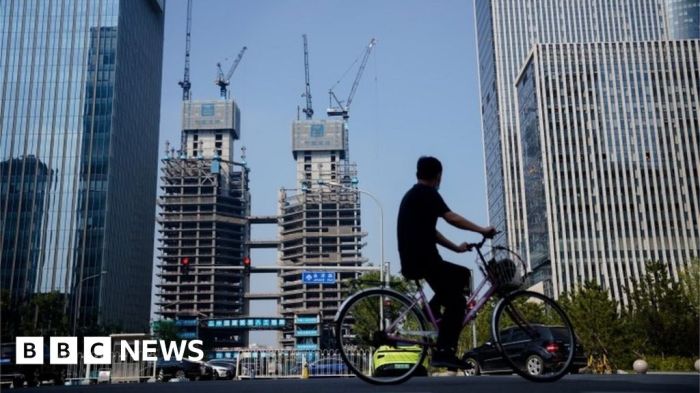 Chinas economy is going through a slow painful grinding adjustment analyst says