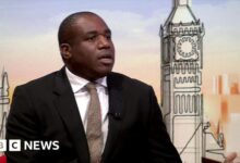 Climate action to be central to all foreign policy david lammy says