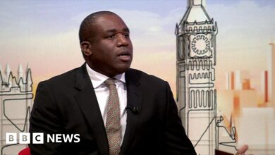 Climate action to be central to all foreign policy david lammy says