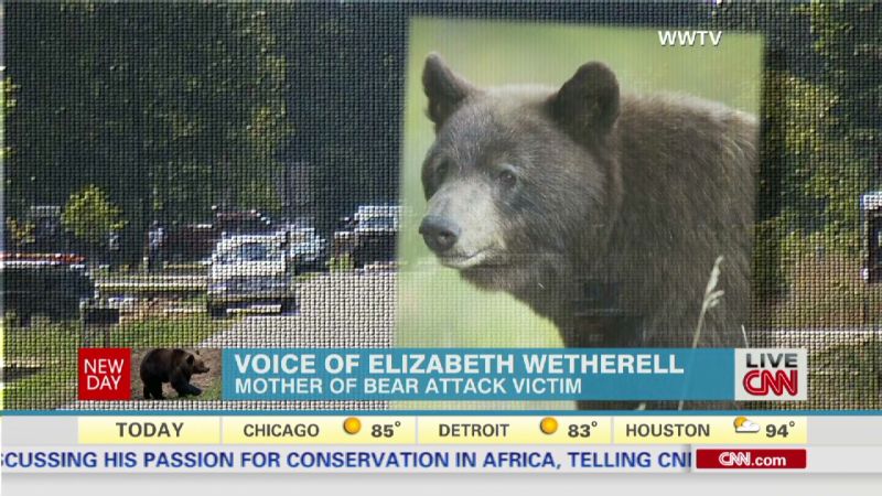 Wisconsin boy 12 shoots bear as it mauls his father