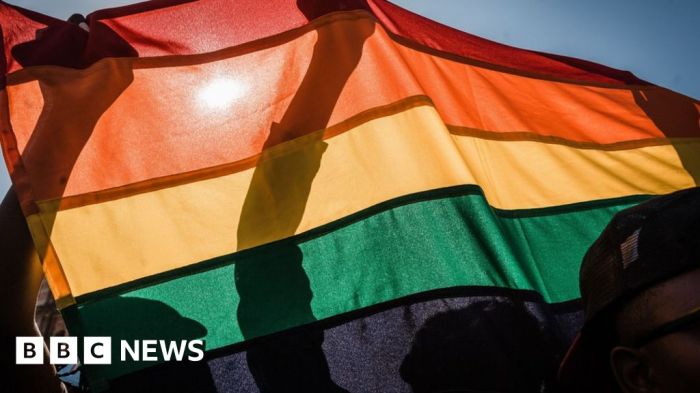 Georgia adopts anti lgbtq law raising concerns ahead of elections