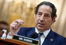 Rep jamie raskin obliterates peter navarro and boldly defends democracy