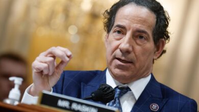 Rep jamie raskin obliterates peter navarro and boldly defends democracy