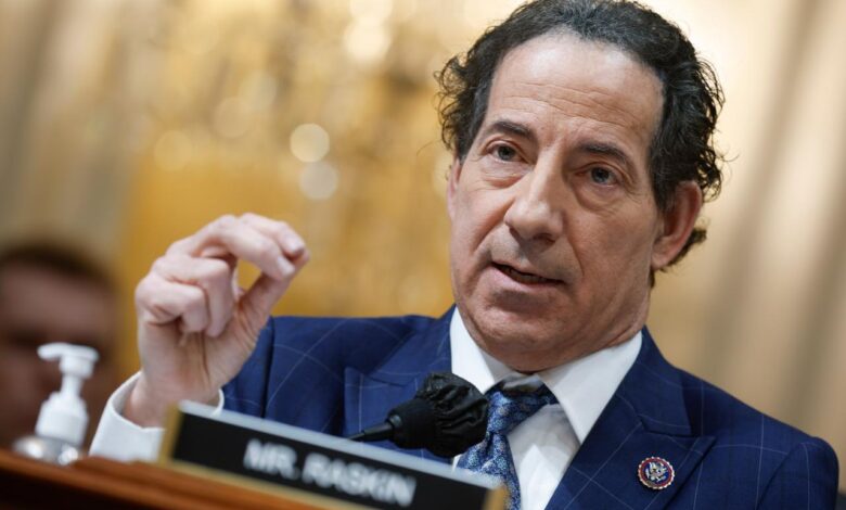 Rep jamie raskin obliterates peter navarro and boldly defends democracy