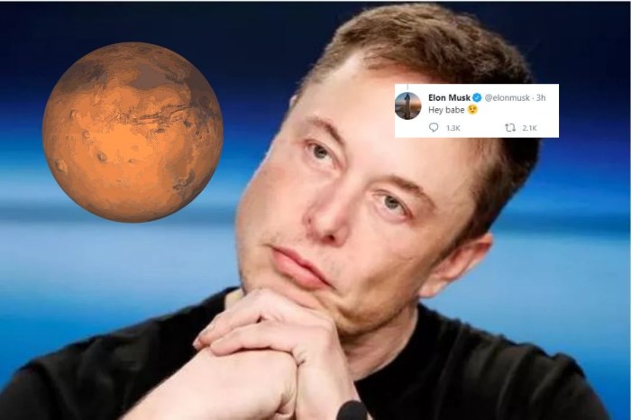 Elon musk will take anyone to mars but not if kamala harris becomes us president he says