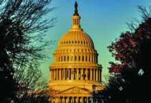 The senates most vulnerable democrats