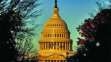 The senates most vulnerable democrats