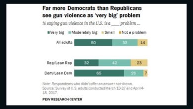 Republicans not sure why america has so many gun deaths