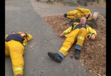 Highway crash injures 8 southern california firefighters