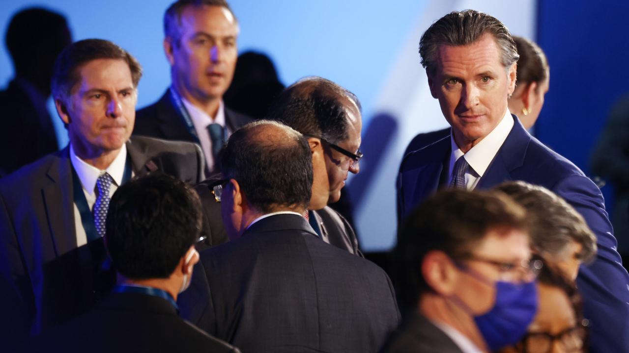 Gavin newsom pokes the g o p bear