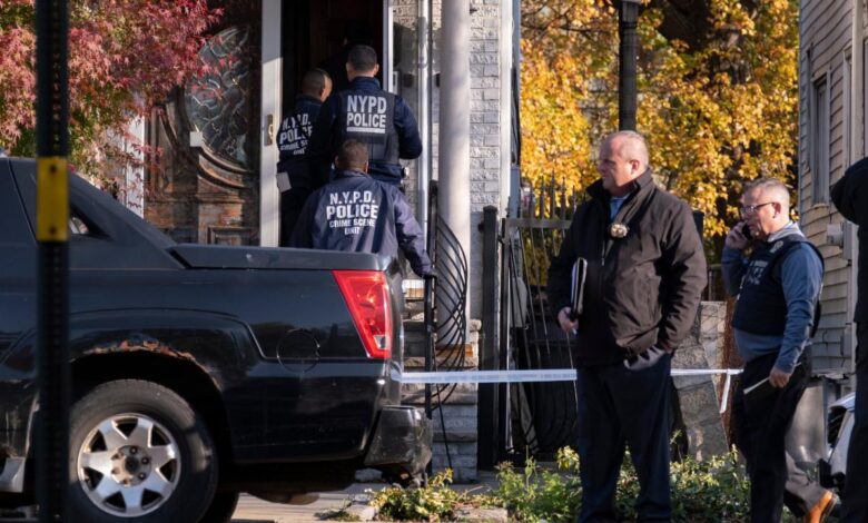 Man arrested and identified in case of murdered queens mother stabbed dozens of times