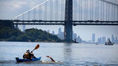 Scottish australian athlete andy donaldson beats record for swimming around manhattan island