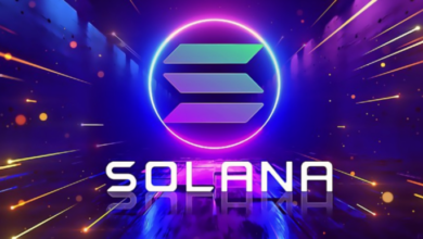 What is solana coin faqs for business owners