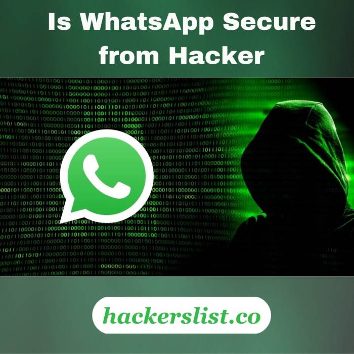 Hackers chats exposed