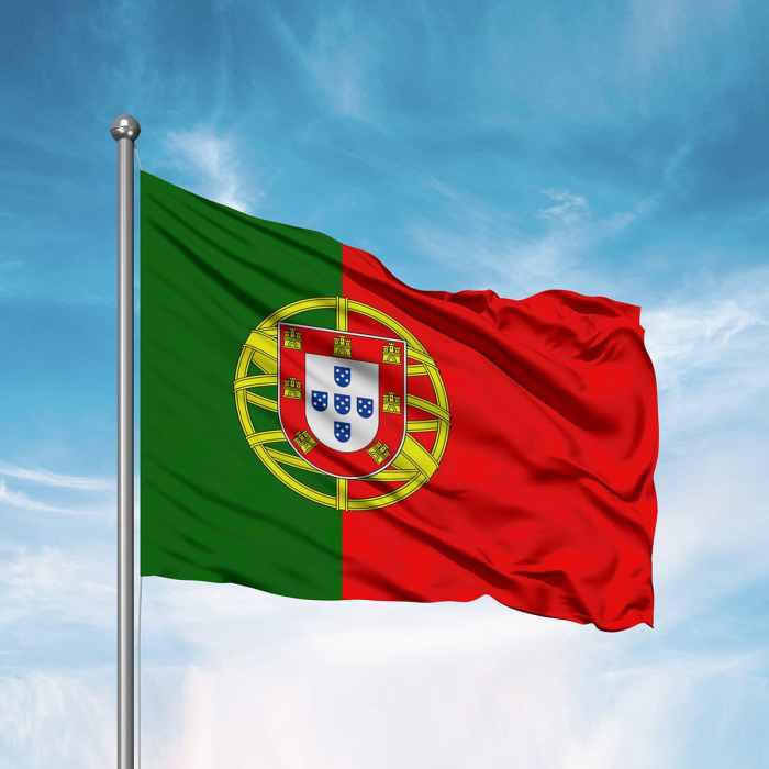 Portugal observes day of national mourning after seven die in fires