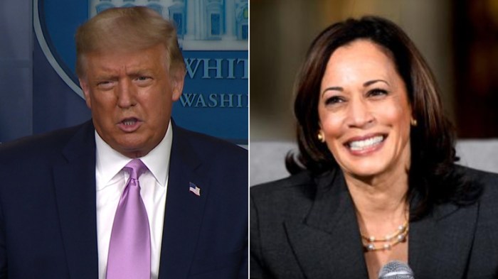 Donald trump turns down second debate with kamala harris