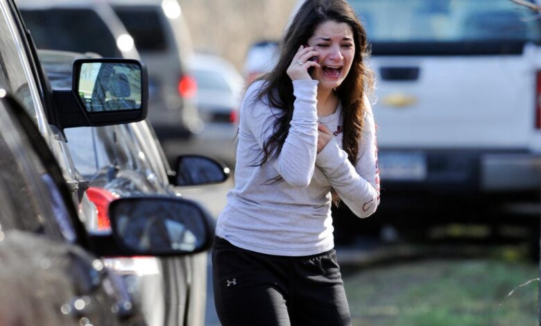 The sandy hook shooting and how conspiracy theories affect national security