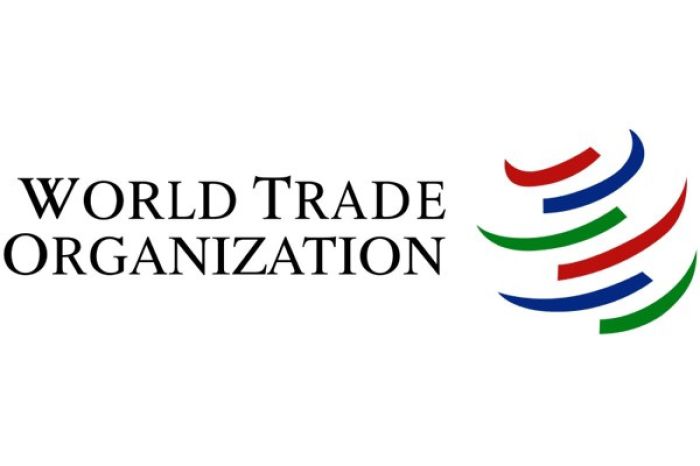 The wto and free trade