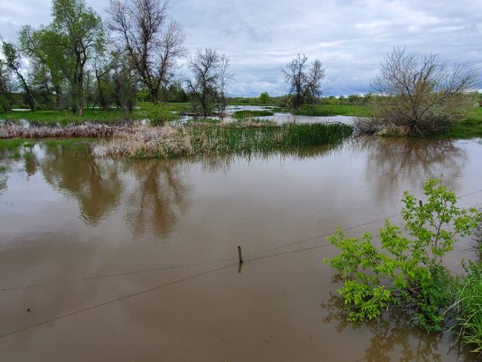 Rising rivers threaten southern poland as flooding recedes elsewhere