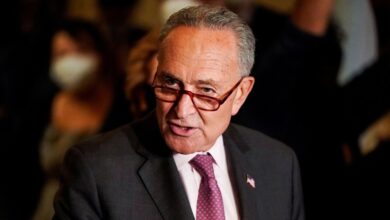 Chuck schumer announces the senate will begin voting on gun legislation tomorrow