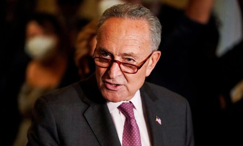 Chuck schumer announces the senate will begin voting on gun legislation tomorrow